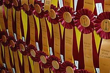A wall of rosettes